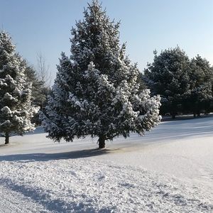 Meet your Posher, Holli